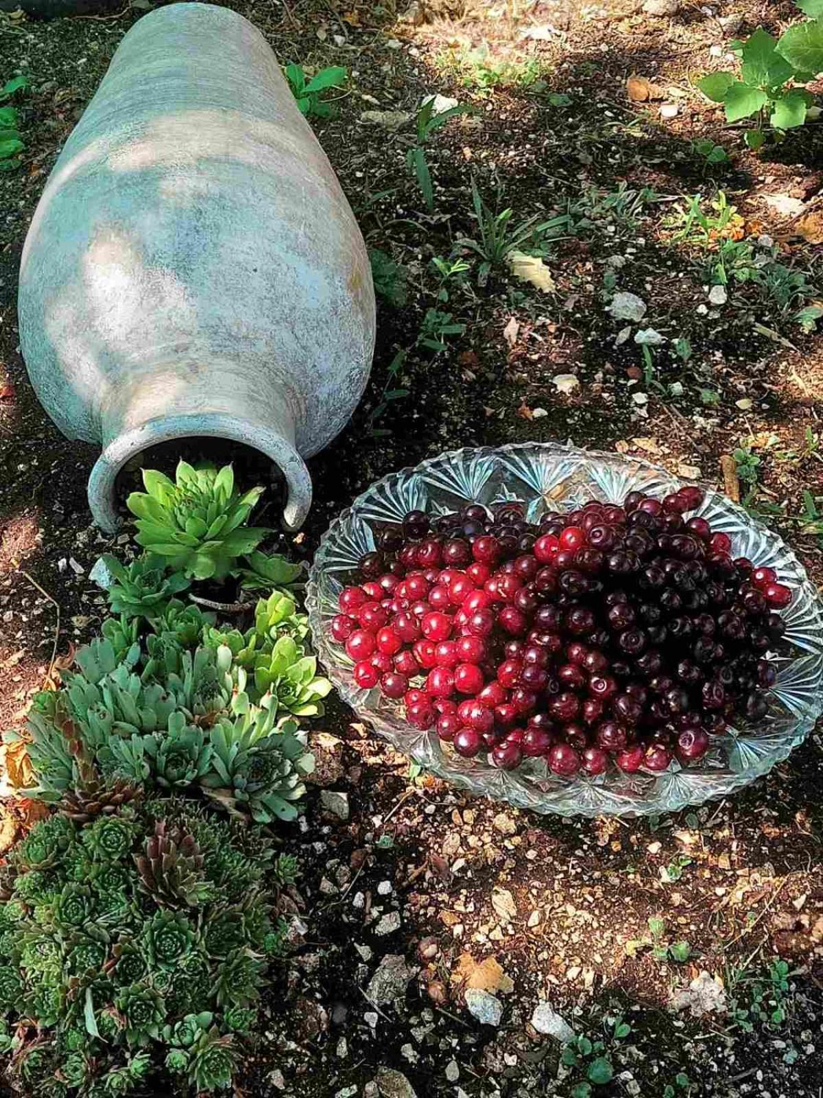 شقة Aria سيتينيي المظهر الخارجي الصورة